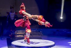 Aqua Circus: El Circ Alegria a Sabadell 